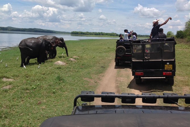 Day Tour from kandy to Sigiriya, Dambulla & National Park safari. - The day at a glance