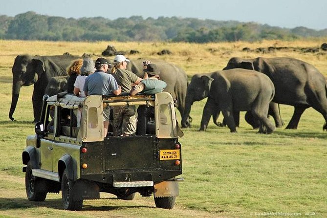 Day Tour from kandy to Sigiriya, Dambulla & National Park safari. - Why this private day trip makes sense from Kandy