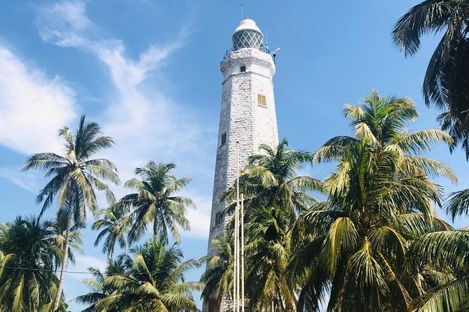 Day tour of Galle - Kosgoda Turtle Hatchery and the cost of conservation
