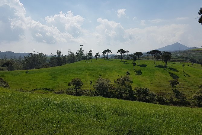 Day Tour of Nuwara Eliya - Why private transport matters on this route