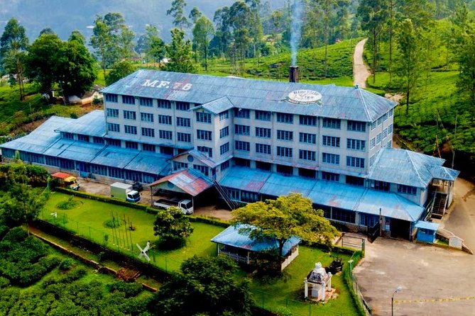 Day Tour of Nuwara Eliya - Rain, timing, and what to bring