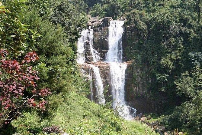 Day Tour of Nuwara Eliya - Glenloch Tea Factory and the story behind a cup