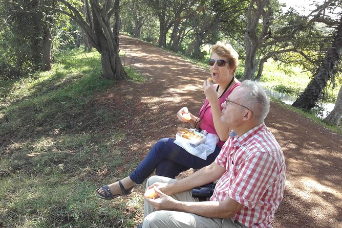 Day Tour to Anawilundawa Wetland Sanctuary - The best months for migratory birds