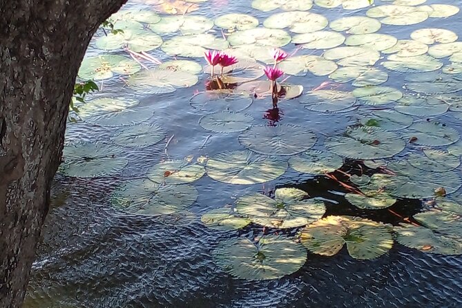 Day Tour to Anawilundawa Wetland Sanctuary - Is $70 a good value for two people?