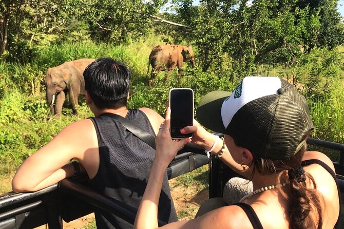 Day Tour to Dambulla, Sigiriya and Safari from Kandy (Group Tour) - Transport, group size and the real value