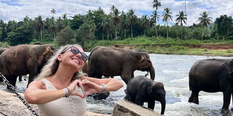Day Tour to Elephant Orphanage / spice garden - Should you book it?