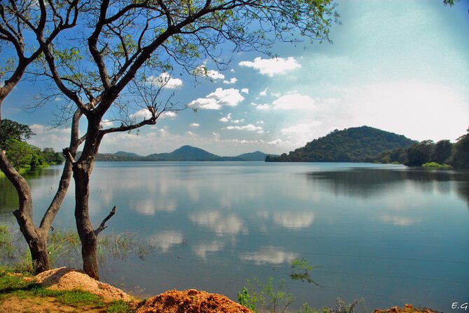 Day tour to Minneriya National Park,Sigiriya & Dambulla from Kandy - What the private vehicle adds