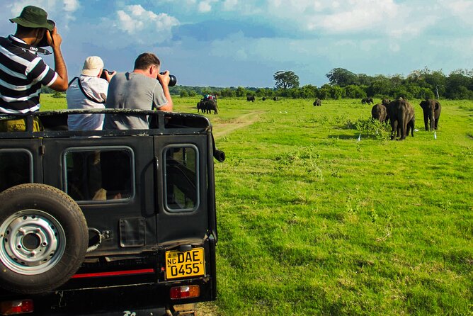 Day tour to Minneriya National Park,Sigiriya & Dambulla from Kandy - The Ayurvedic village and roadside food stops