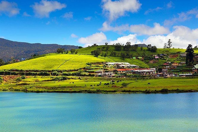 Day Tour to Nuwara Eliya from Kandy by Lux Tours Lanka - The road from Kandy to Sri Lanka’s tea country