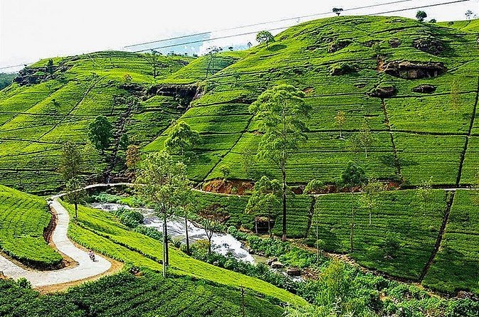 Day Tour to Nuwara Eliya from Kandy by Lux Tours Lanka - Victoria Park offers a tidy town pause