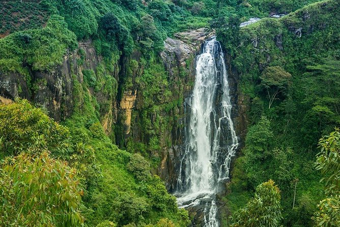 Day Tour to Nuwara Eliya from Kandy by Lux Tours Lanka - Hakgala Botanic Gardens are worth weighing against the clock