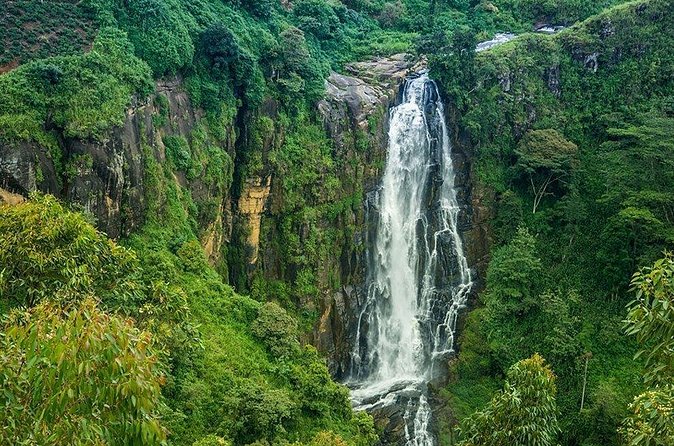 Day Tour to Nuwara Eliya from Kandy by Lux Tours Lanka - How the timing affects the value