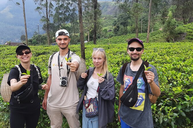 Day tour to Nuwareeliya (Little England) from Kandy - The red-brick Nuwara Eliya Post Office