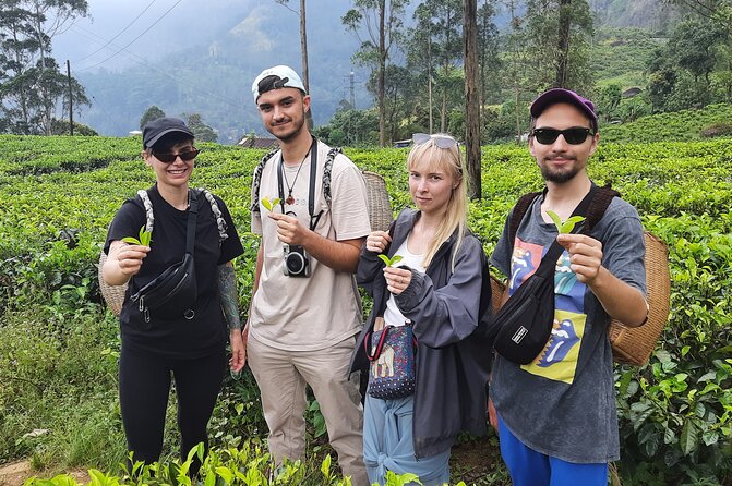 Day tour to Nuwareeliya (Little England) from Kandy - Ramboda Waterfall and the short uphill walk