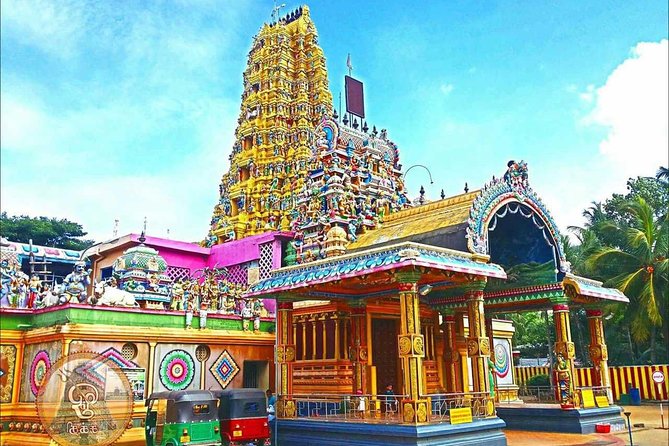 Day tour to Sigiriya & Dambulla from Kandy by B Super Tours - What the private vehicle changes