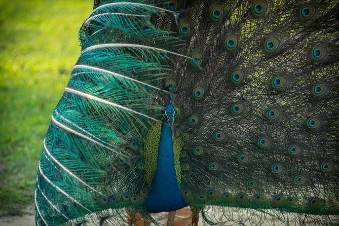 Day Tour to Wilpattu National Park from Colombo - Why Wilpattu is worth the long ride from Colombo