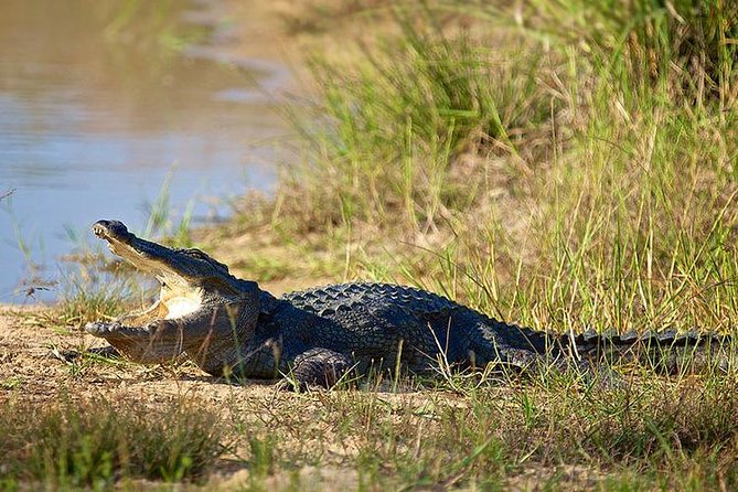 Day Tour to Wilpattu National Park from Colombo - Who should book this Wilpattu day trip?