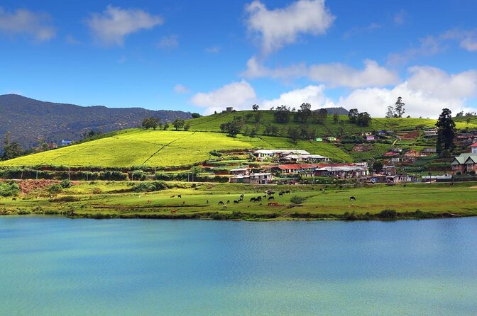 Day Trip to Nuwara eliya from Kandy - Key points to know before you book