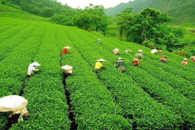 Day Trip to Nuwara Eliya with Kingfisher Tours - Gregory Lake for an hour of fresh air