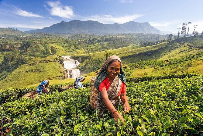 Day Trip to Nuwara Eliya with Kingfisher Tours - Lover’s Leap Falls and the waterfall question