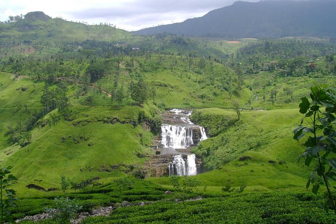 Day Trip to Nuwara Eliya with Kingfisher Tours - NGM Strawberry Farm