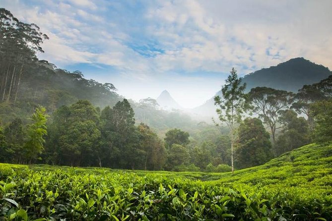 Day Trip to Nuwara Eliya with Kingfisher Tours - Sorborn Gems and Jewellery in Kandy