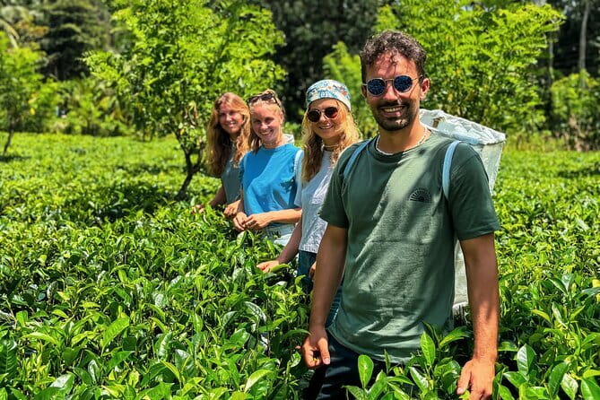 Dediyagala Village Tour(from Galle, Mirissa, Ahangama, Matara) - Key points before you book