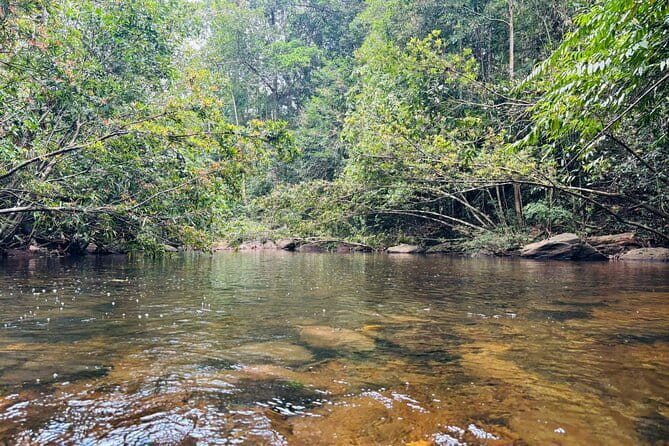 Dediyagala Village Tour(from Galle, Mirissa, Ahangama, Matara) - The optional tea and kithul factory stops