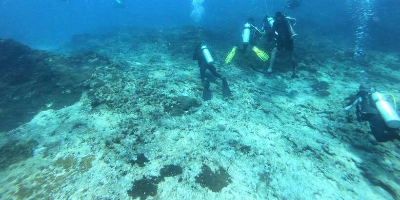 Discover Scuba Diving : Hikkaduwa : Scuba Diving - Key points to know before booking