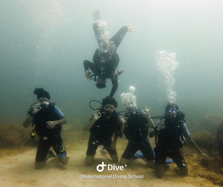 Discover Scuba Diving : Hikkaduwa : Scuba Diving - Seeing Hikkaduwa below the surface