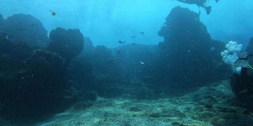 Discover Scuba Diving : Hikkaduwa : Scuba Diving - Learning the equipment before you enter the sea