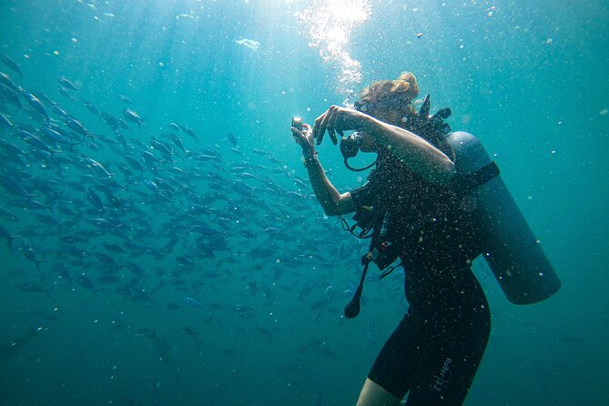 Discover SCUBA Diving in Beautiful Unawatuna Bay - Key points at a glance