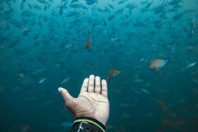 Discover SCUBA Diving in Beautiful Unawatuna Bay - Who will enjoy this most