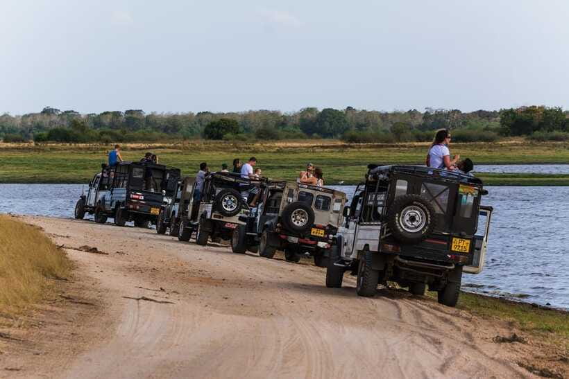 Elephant Jeep Safari at Minneriya National Park - Practical details before you book