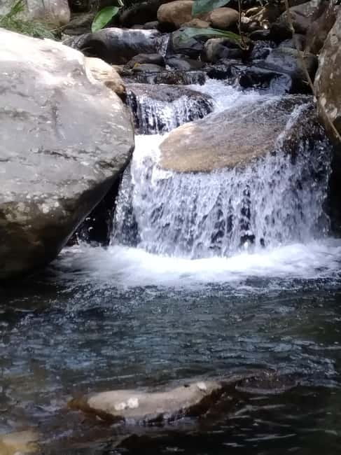 Ella: Cinnamon, Spice Garden & Waterfall tour - Key points to know before booking