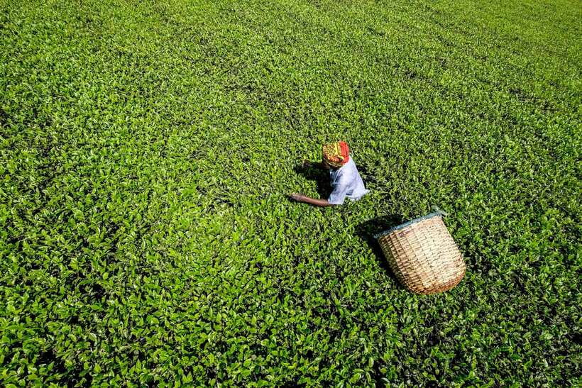Ella Day Tour: with Tea Factory Visit from Colombo/Bentota - Ravana Falls, a short stop with drama