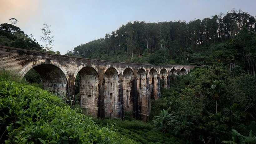 Ella Day Tour: with Tea Factory Visit from Colombo/Bentota - What the day feels like in practice