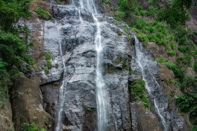 Ella Day Trip from Mirissa, Weligama, Galle, Hikkaduwa - Is $75 good value?