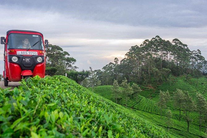 Ella Day Trip from Mirissa, Weligama, Galle, Hikkaduwa - Ravana Ella Falls: a short stop with strong local appeal