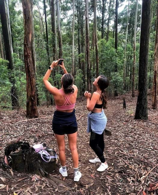 Ella: Ella Rock, 9 Arch, Little Adams Peak, & Waterfall Tour - Viewpoints at Kithalella and beyond