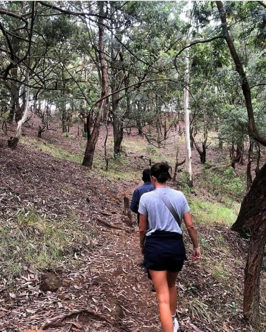 Ella: Ella Rock, 9 Arch, Little Adams Peak, & Waterfall Tour - Demodara Loop explains Ella’s railway appeal