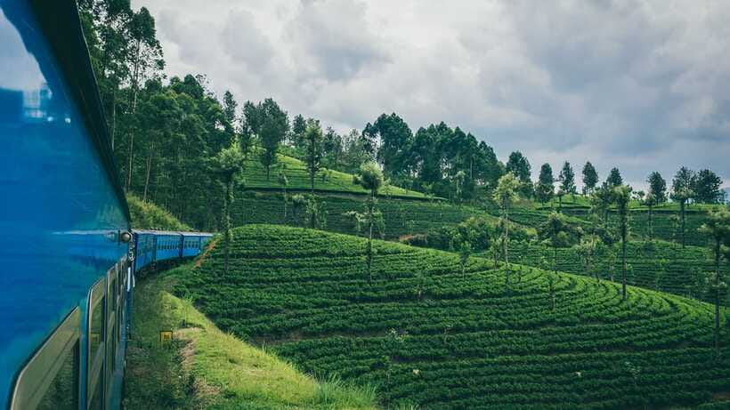 Ella: First Class Scenic Train Ticket To/From Nanuoya - What the five hours feel like