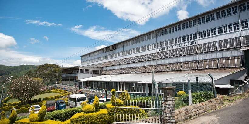 Ella: Lipton's Seat Tour with Dambetanna Tea Factory Visit - Why the tuk tuk ride may be the real highlight