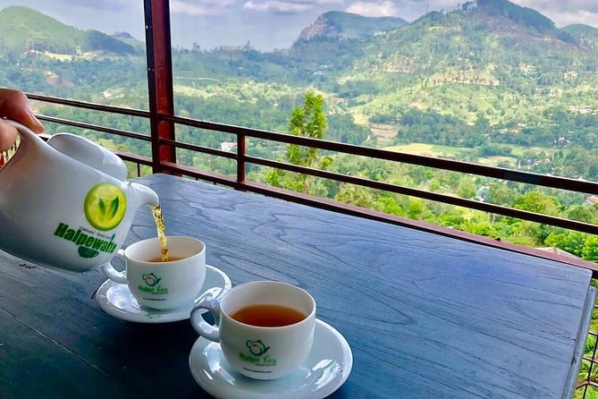 Ella Private Day Tour From Kandy - Why this Kandy to Ella road day works