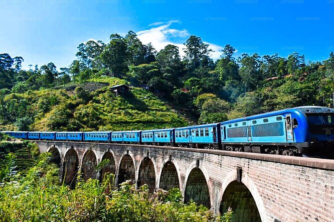 Ella Private Day Trip with Train Ride & Tea Factory-All Inclusive - Rawana Falls and the first taste of the hills
