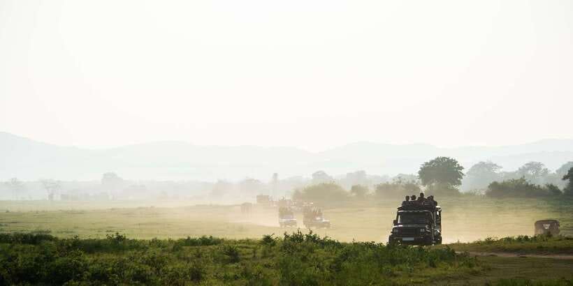 Ella: Shuttle to Tangalle/Mirissa/Galle & Udawalawa Safari - Leaving Ella Before the Roads Get Busy