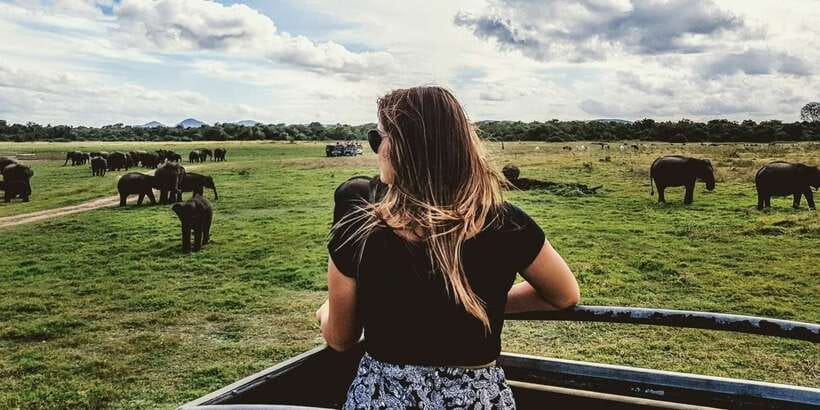 Ella: Shuttle to Tangalle/Mirissa/Galle & Udawalawa Safari - Switching to the Open Jeep at Udawalawe