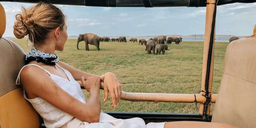 Ella: Shuttle to Tangalle/Mirissa/Galle w Udawalawe Safari - Elephants, crocodiles, birds, and smaller surprises