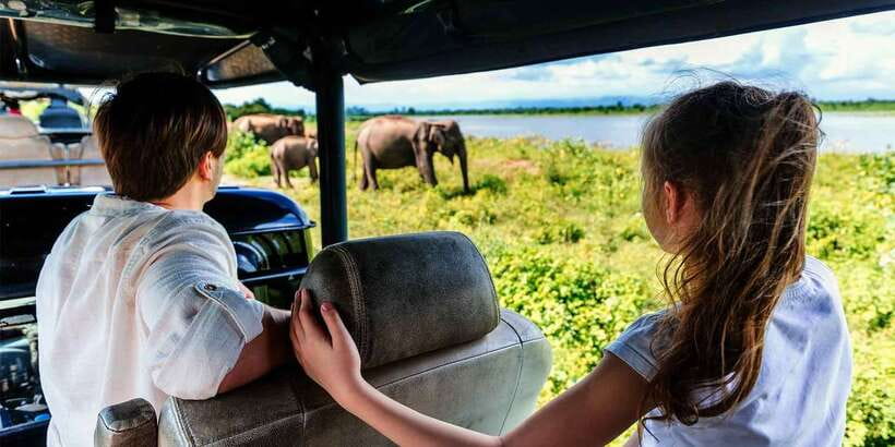 Ella: Shuttle to Tangalle/Mirissa/Galle w Udawalawe Safari - Who should book this experience