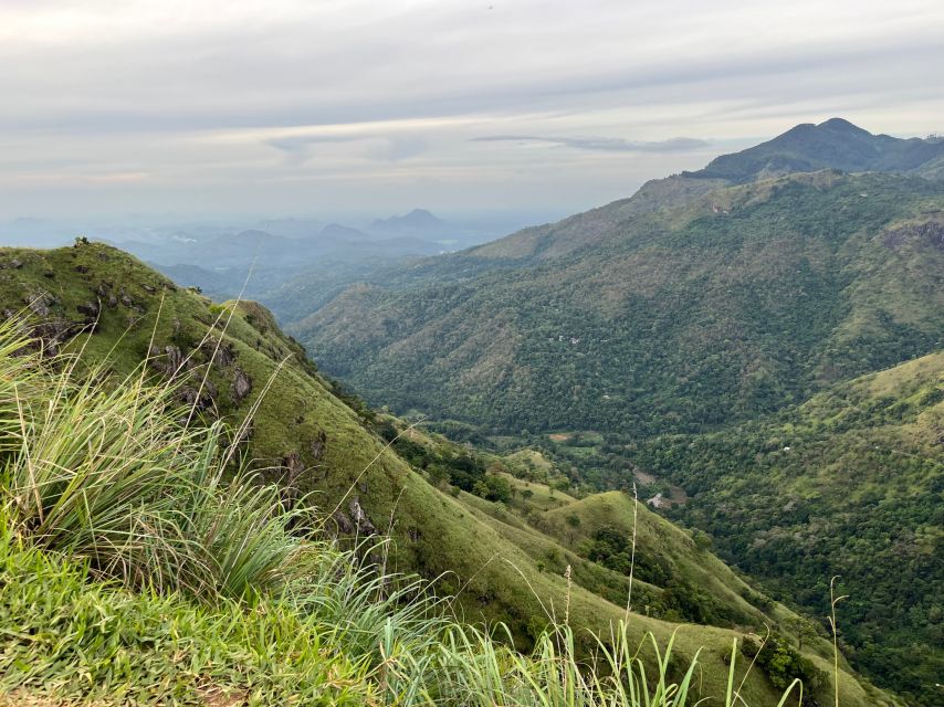Ella: Tea Factory, Train, and Nine Arch Day Tour with Pickup - Ravana Pool Club is the day’s breathing space